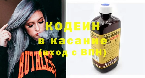 шишки Горно-Алтайск