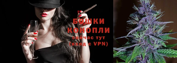 шишки Горно-Алтайск