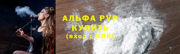 шишки Горно-Алтайск