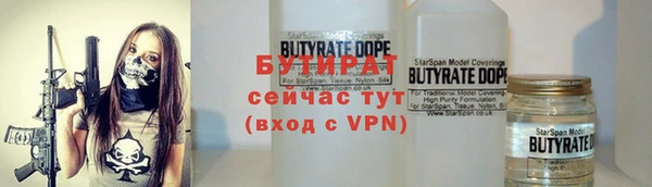 шишки Горно-Алтайск