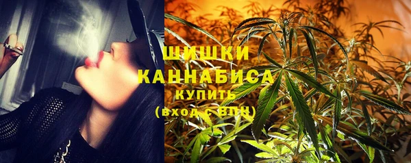 шишки Горно-Алтайск