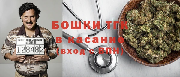 шишки Горно-Алтайск
