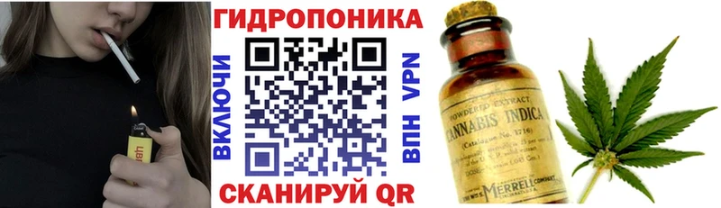 Купить где  Солнечногорск  Канабис гибрид 